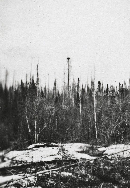 景观在威库斯科湖在马尼托巴，加拿大- 1924年